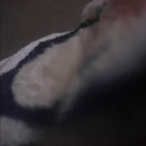 Meet your Posher, Anastasia